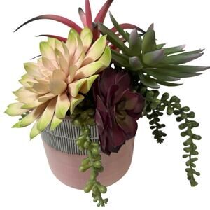 Artificial Succulent Plants Set of 5 Realistic Greenery Decor